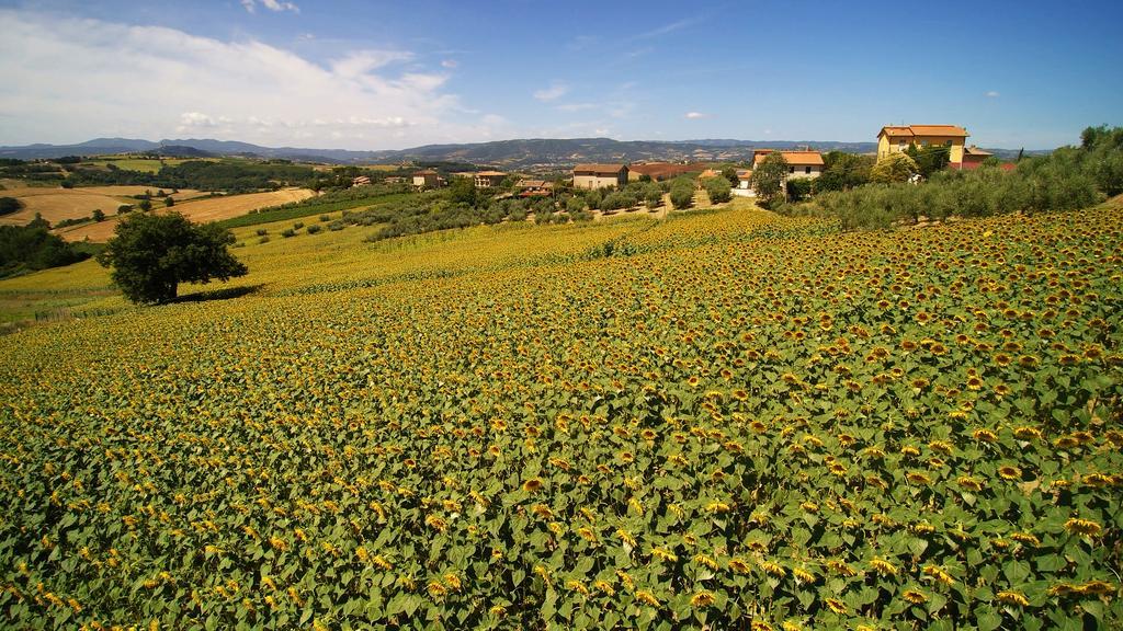Colle San Giovanni Todi Exteriör bild